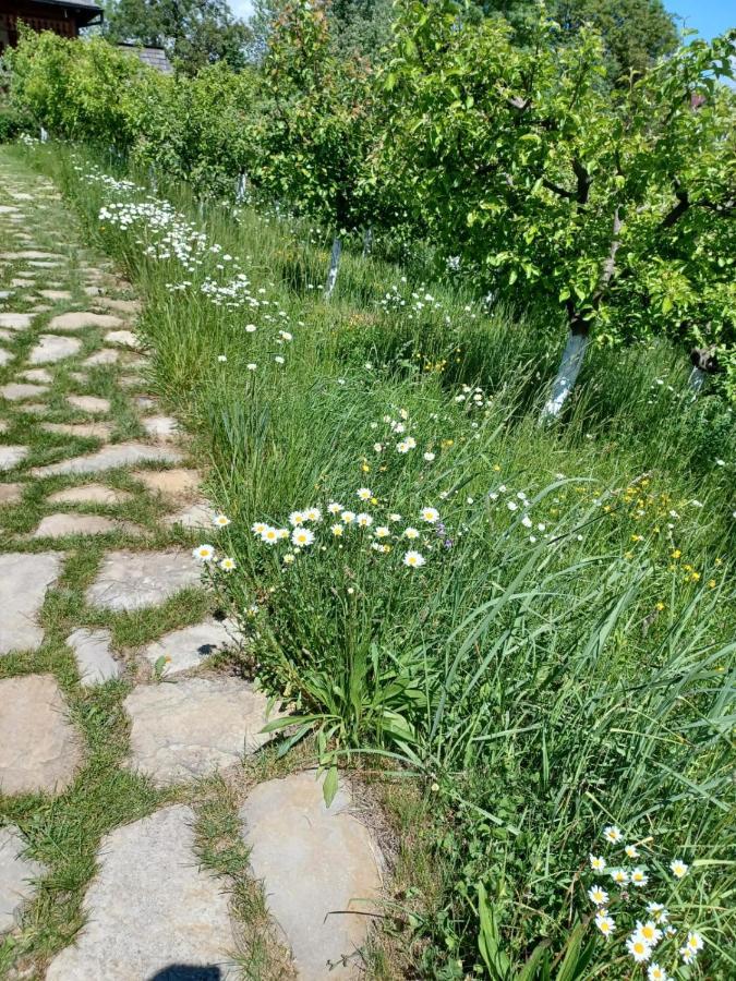 Pensiunea Agroturistica Casa Jucan Poieni Buitenkant foto